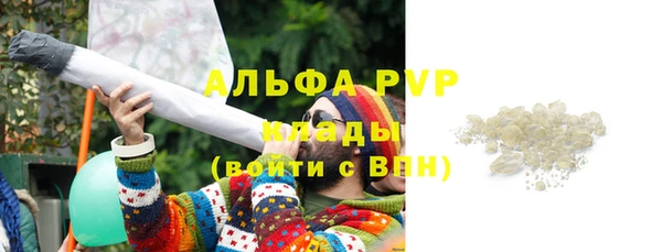 шишки Белоозёрский