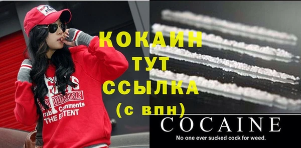 шишки Белоозёрский